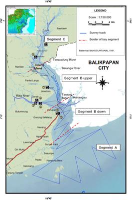 Long-Term Population and Distribution Dynamics of an Endangered Irrawaddy Dolphin Population in Balikpapan Bay, Indonesia in Response to Coastal Development